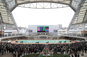 阪神競馬場のパドック写真