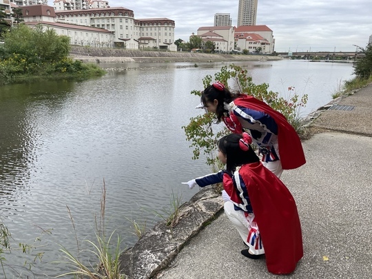 サファイアが炭酸が湧出しているところを見ている様子