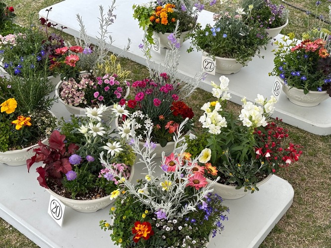 寄せ植え体験会参加者の作品