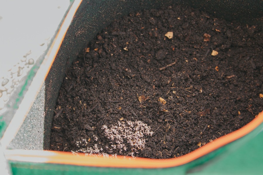 コンポストたい肥