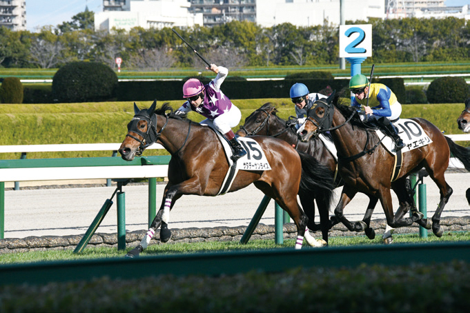 阪神競馬場の写真