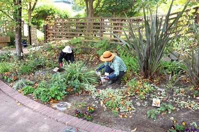 ボランティア活動の写真