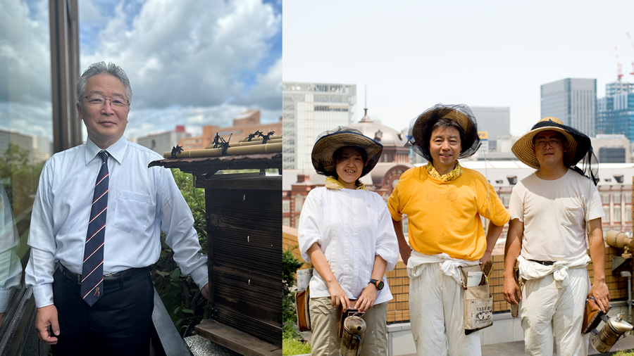 若水銀座ミツバチ