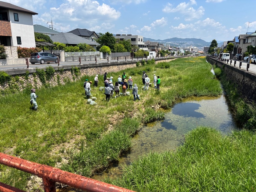 駆除後の写真