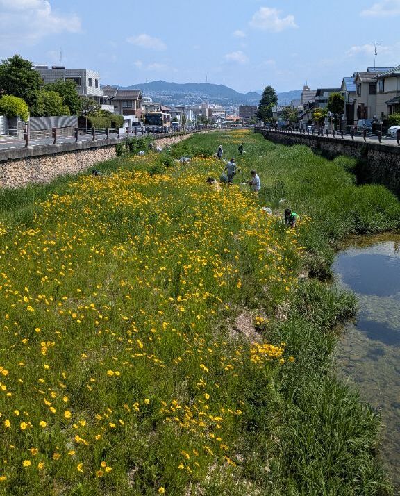 駆除前の様子