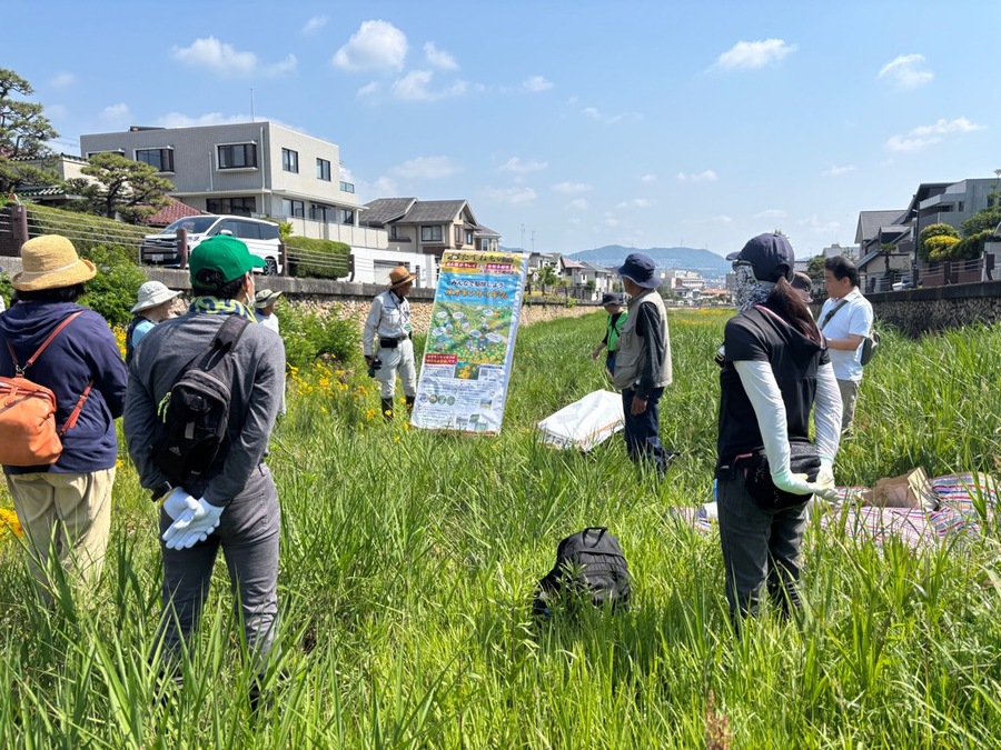 駆除前と駆除後の画像