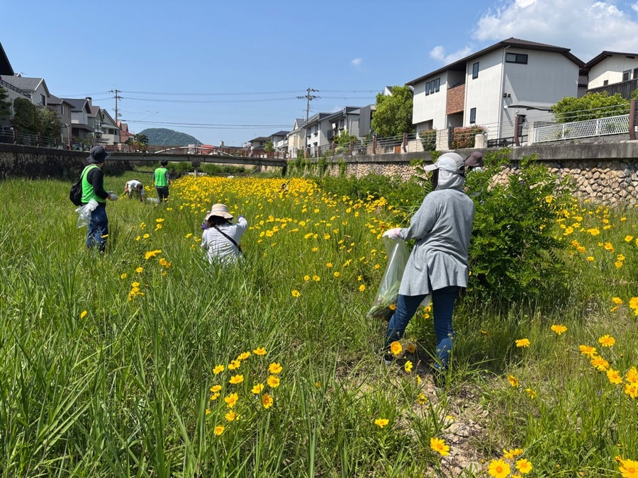 駆除の様子