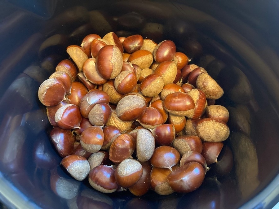 栗（西谷農地再生PJ）