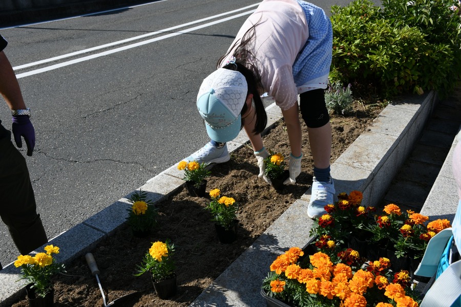 花うえ