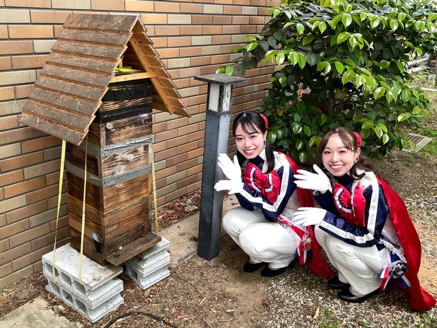 ミツバチの巣箱とサファイア