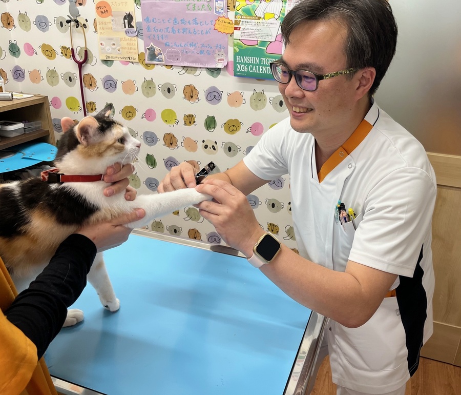 宝塚まりも動物病院の施術中写真