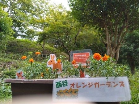 西谷地域包括支援センターのオレンジガーデニングの画像