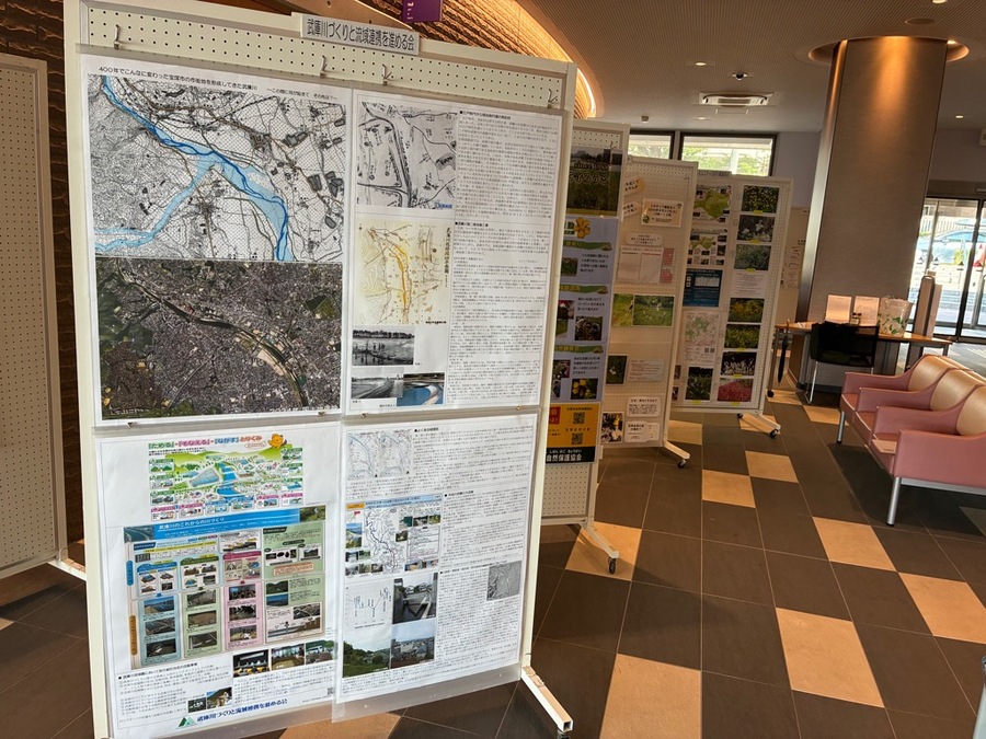 展示の様子