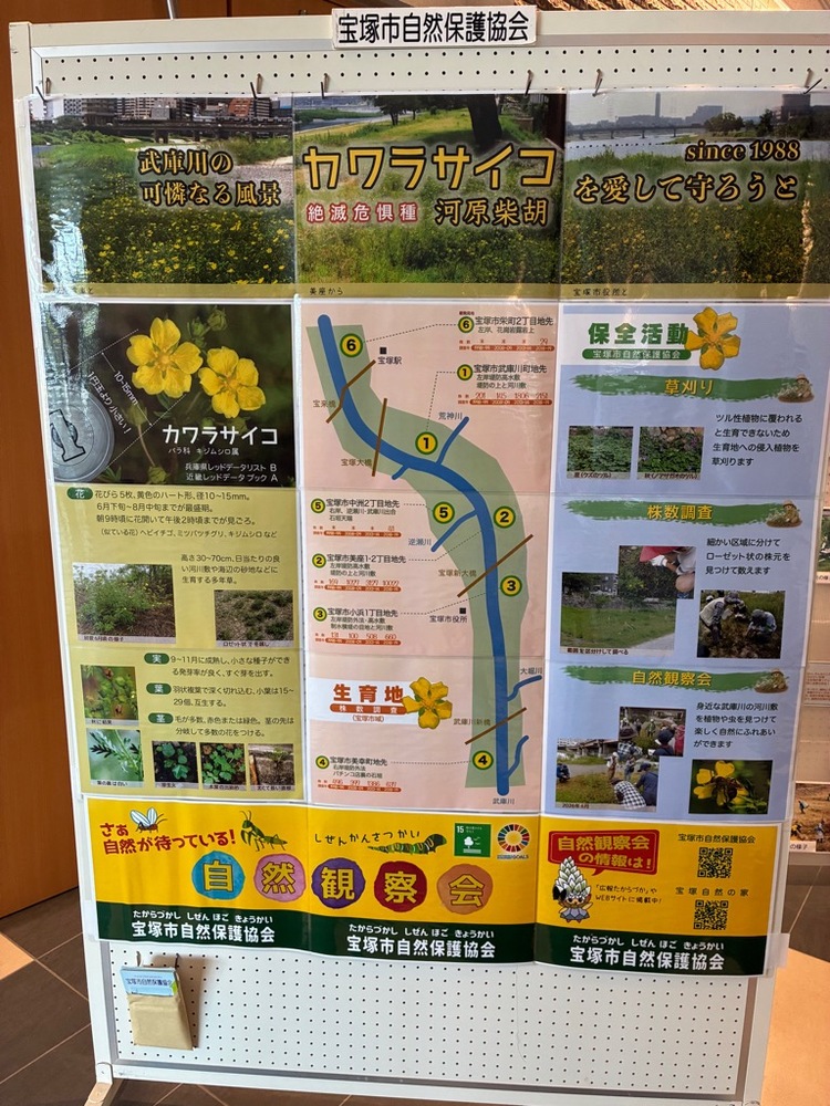 展示の様子
