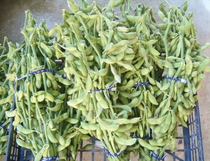 宝塚西谷黒大豆枝豆の写真