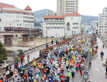 宝塚ハーフマラソン大会の写真