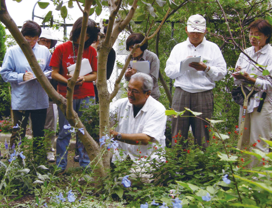 メリーポピンズの会　花と緑のボランティアの写真