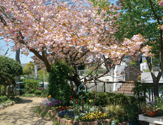 宝塚オープンガーデンフェスタの写真