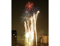 宝塚観光花火大会の写真