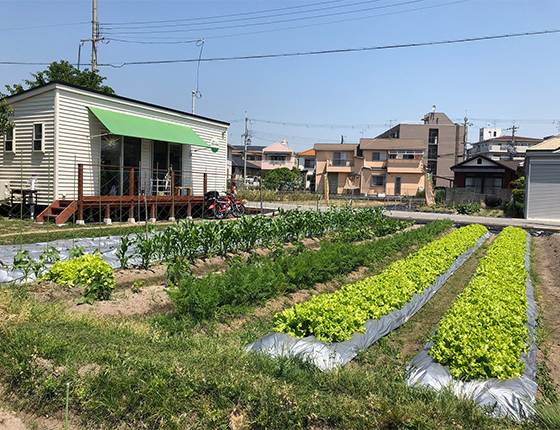 宝塚小林農園の写真