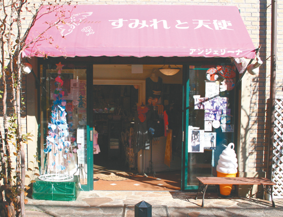 アンジェリーナの写真