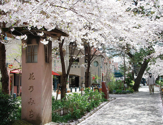 花のみちの写真