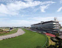 JRA阪神競馬場の写真