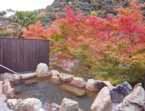 紅葉館 別庭あざれの写真