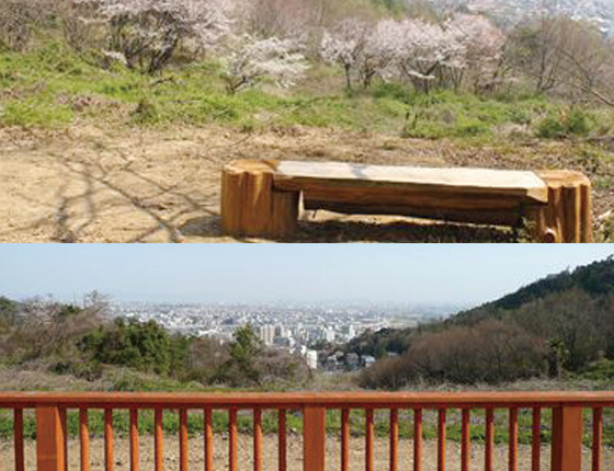 北雲雀丘きずきの森の写真