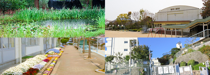 写真4点：（左上）池と周辺の草（右上）体育館の外観（左下）色々な花が咲く花壇（右下）門から見える校舎