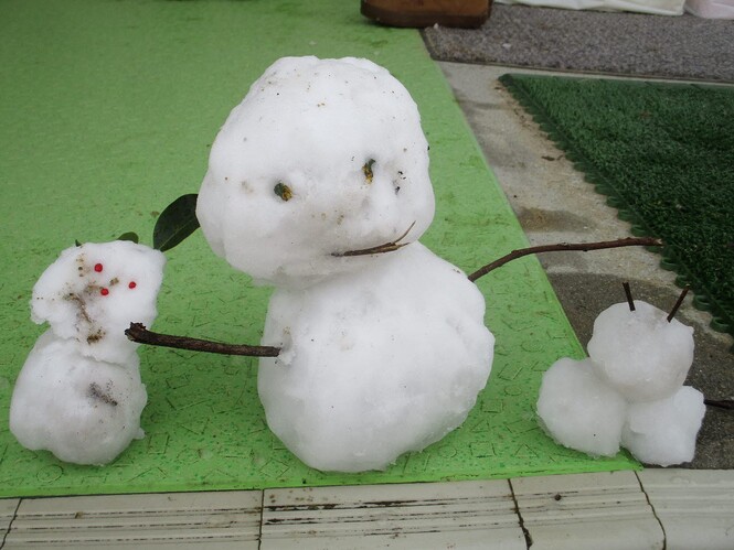 子どもの作った雪だるまの写真