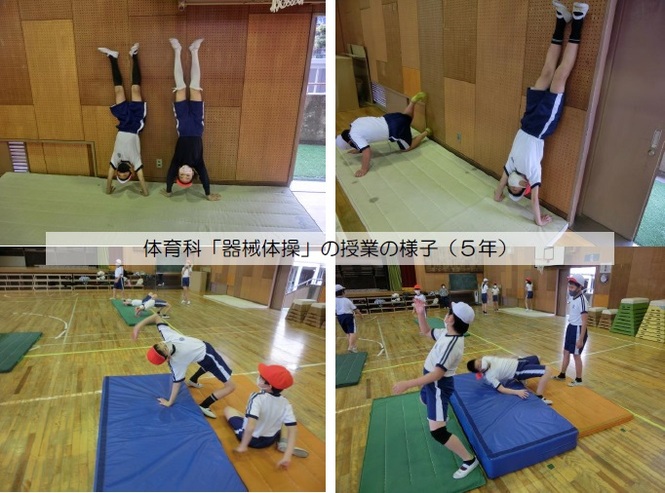 5年生の学習の様子