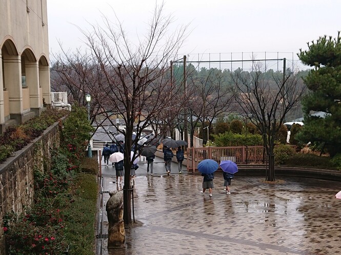 雨の校門