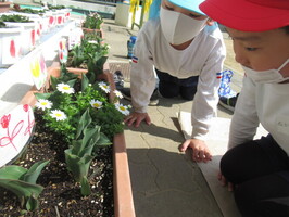 hananosoba
