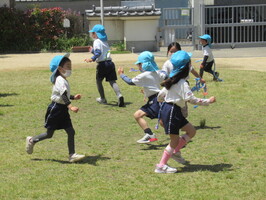 しっぽとり