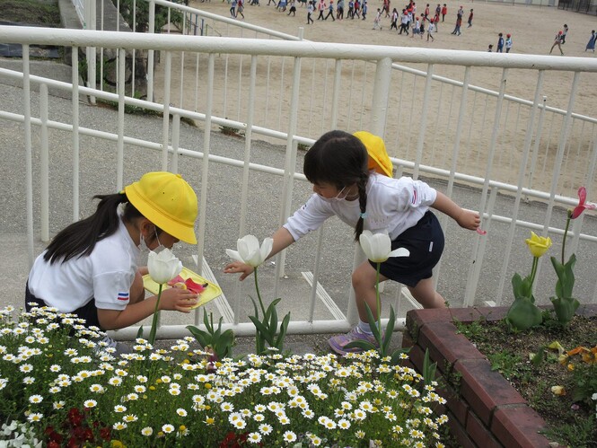 花柄を集める子どもの写真