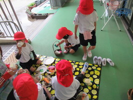 ピクニックの写真