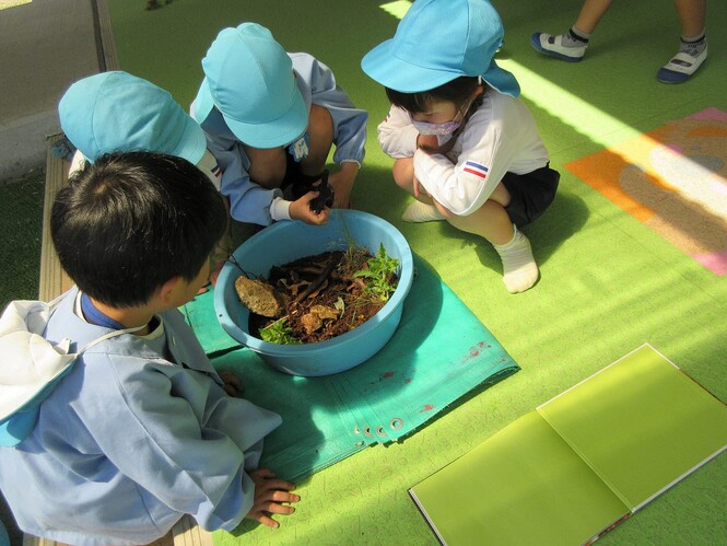 たらいに、土や石、草を入れ作ったダンゴムシの家をのぞいたり、霧吹きをしたりしている子どもの写真