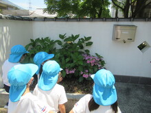 学校