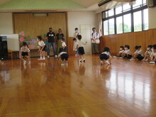 kaeru