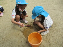 土