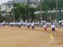 taikai11