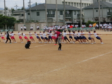 taikai11