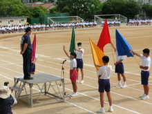 taikai2