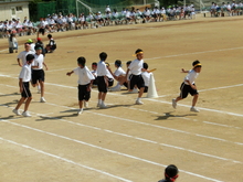 taikai3