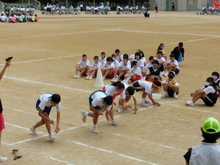 taikai8