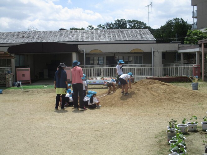 土山の前で、友達の掘ったトンネルに水が流れる様子をみるすみれ組子どもたちの写真