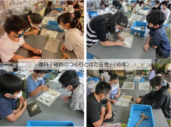 6年生の学習の様子