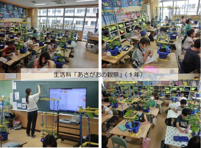 1年生の学習の様子