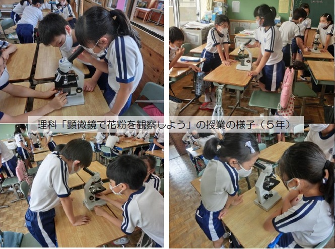 5年生の学習の様子